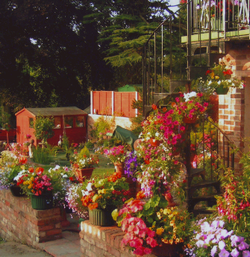 Homeleigh Guest House