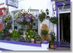 Seashells Guesthouse