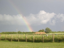 Willow Farm Holidays