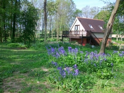 Bluebell Lodge