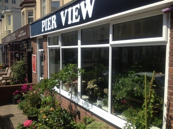 Pier View Bed and Breakfast Hotel