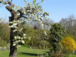 Hillcrest Guesthouse