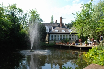 Orchard Pond Bed and Breakfast