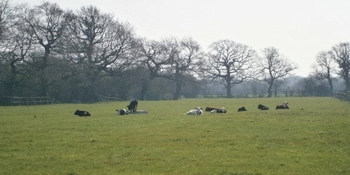 Brook Farm Bed & Breakfast