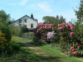 Forest How Guest House