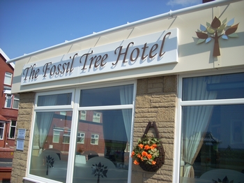 The Fossil Tree Hotel