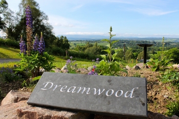 Dreamwood Bed & Breakfast