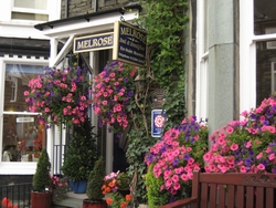Melrose Guesthouse