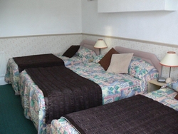 Wimbourne Guesthouse